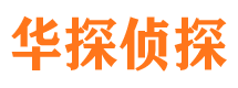 坊子市侦探公司